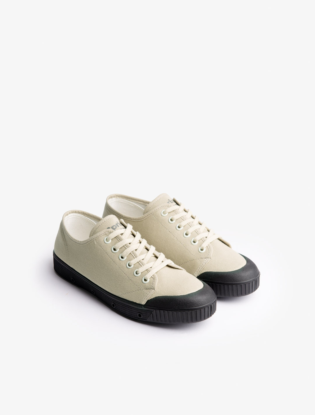 新作エクスクルーシブカプセル：Black Sole - Spring Court